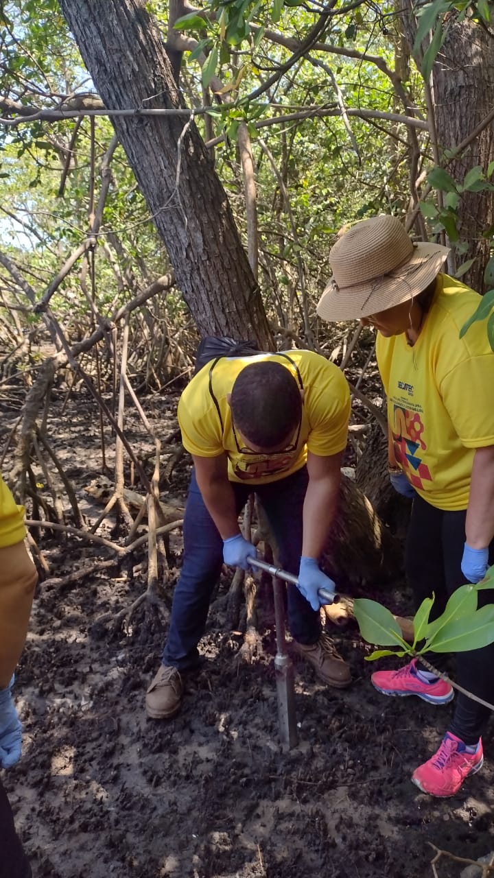 ATIVIDADE DE CAMPO E LABORATÓRIO